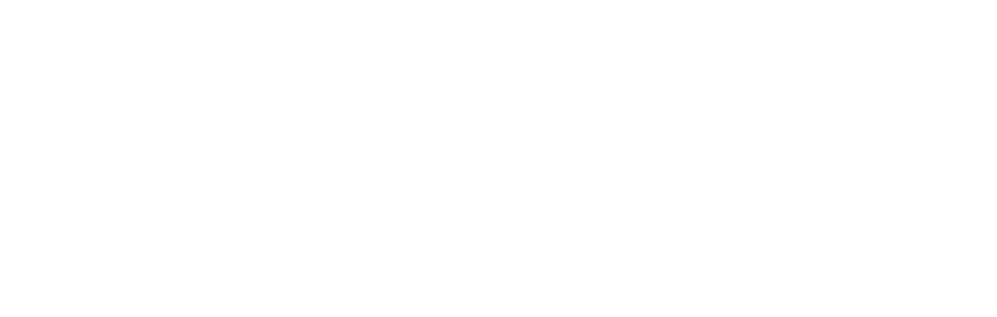 BlackPay Logo